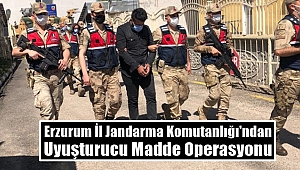 Erzurum İl Jandarma Komutanlığından Başarılı Operasyon