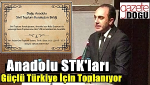 Anadolu STK'ları Güçlü Türkiye İçin Toplanıyor