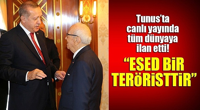 Erdoğan'dan Dünyaya Esed Çağrısı