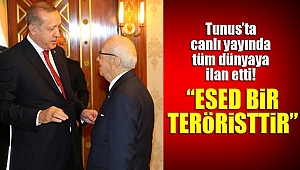 Erdoğan'dan Dünyaya Esed Çağrısı