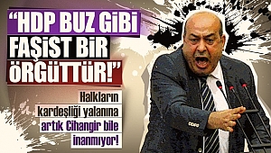 HDP'li Hasip'den skandal tweet!
