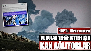 HDP'nin Afrin Sancısı Ayyuka Çıktı