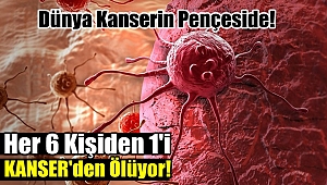 Dünya Kanserin Pençesinde!