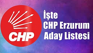 İşte CHP Aday Listesi