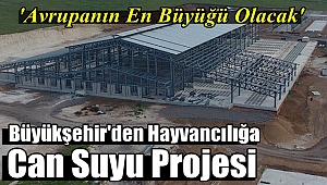 Büyükşehir'den Hayvancılığa Cansuyu Projesi