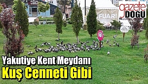 Yakutiye Parkı Kuş Cenneti Gibi
