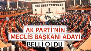 AK Parti'nin TBMM Başkan Adayı Belli Oldu