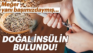 Dereotunun Mucizevi Faydalarını Biliyor muydunuz?