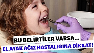 El Ayak Ağız Hastalığına Dikkat!