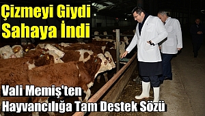 Vali Memiş'ten Hayvancılığa Tam Destek Sözü