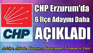 CHP Erzurum Adaylarını Açıklamaya Devam Ediyor