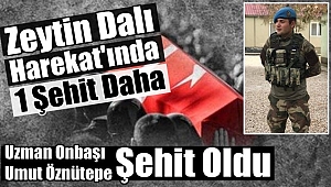 Zeytin Dalı Harekatında Kahpe Saldırı