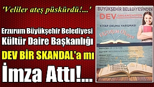 Dev Organizasyon mu, Dev Bir Skandal mı?