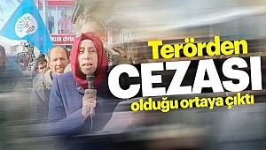 HDP'li Karayazı Belediye Başkanına Hapis Şoku!