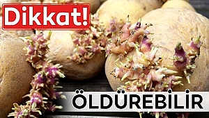 Filizlenmiş Patates Tehlike Saçıyor