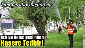 Aziziye Belediyesi'nden Haşere Tedbiri