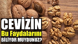 İşte Cevizin Çok Bilinmeyen Faydaları!