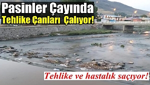 Pasinler Çayında Tehlike Çanları Çalıyor!