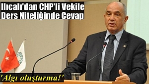 llıcalı'dan CHP'li Vekile Ders Niteliğinde Cevap