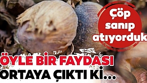 Kabuk Deyip Çöpe Atmayın!