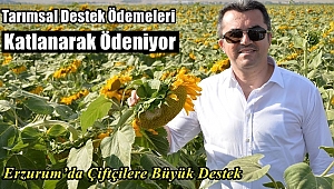 Tarımsal Destek Ödemeleri Katlanarak Ödeniyor
