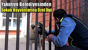 Yakutiye Belediyesi Sokak Hayvanlarını Unutmadı