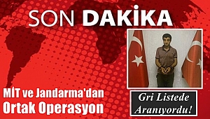 MİT ve Jandarma'dan Ortak Operasyon