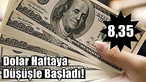 Dolar Haftaya Düşüşle Başladı