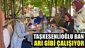Taşkesenlioğlu Ban Saha Çalışmalarına Devam ediyor