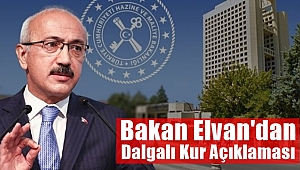 Bakan Elvan'dan Dalgalı Kur Açıklaması