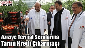 Köksal Kacır'dan Aziziye Termal Sera Çıkarması