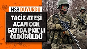 Mehmetçik Taciz Ateşini Affetmedi