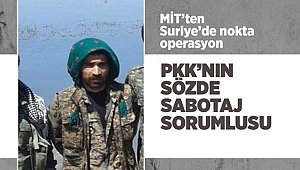 MİT'ten nokta operasyon!