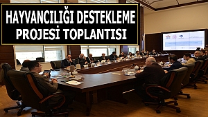 Vali Memiş: Para Kazanmaktan Ziyade Hayvancılığı Destekleme Projesidir.