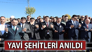 Yavinin Dinmeyen Acısı
