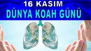 Her Adımda Sağlıklı Nefes