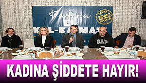 Kadına Yönelik Şiddete Karşı Uluslararası Mücadele Günü