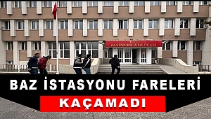Baz İstasyonu Farelerine Operayon.