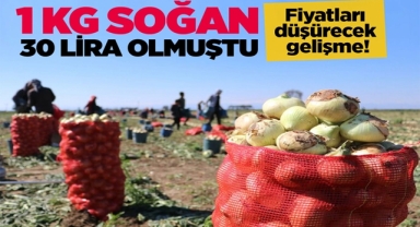 Gıda Fiyatlarını Düşürecek Gelişme!