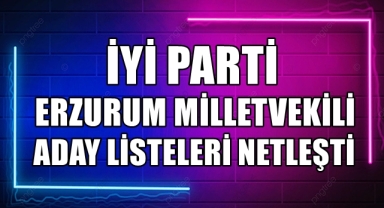 İYİ Parti Erzurum Milletvekili Aday Listesi Netleşti