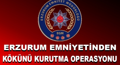 Erzurum Emniyetinden Kökünü Kurutma Operasyonu