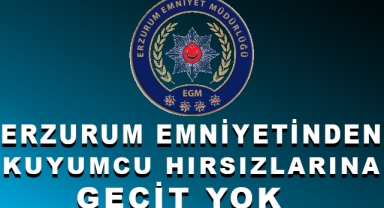 Erzurum Emniyetinden Kuyumcu Hırsızlarına Operasyon