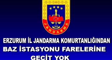 Baz İstasyonu Fareleri Yakalandı