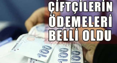 Çiftçilere Bu Yıl İçin Ödenecek Tarımsal Destek Belli Oldu