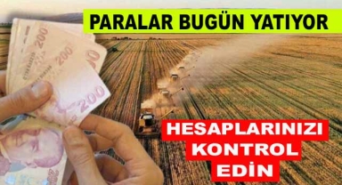 Hesaplarınızı Kontrol Edin Paralar Bugün Yatıyor