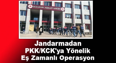Jandarmadan PKK/KCK'ya Operasyon