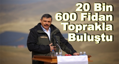 11 Kasım Milli Ağaçlandırma Günü