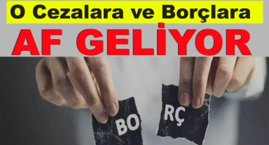 80 Maddelik Torba Yasaya Girdi