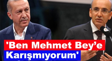 Cumhurbaşkanı Erdoğan'dan Mehmet Şimşek Açıklaması