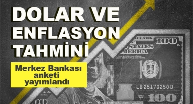 Bomba Dolar ve Enflasyon Tahmini